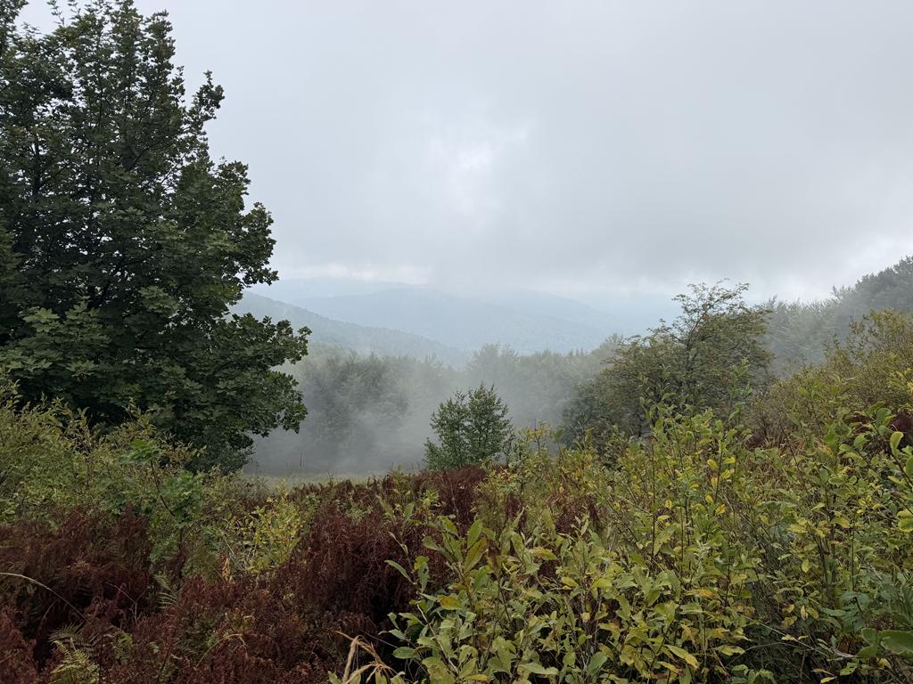 bieszczady21