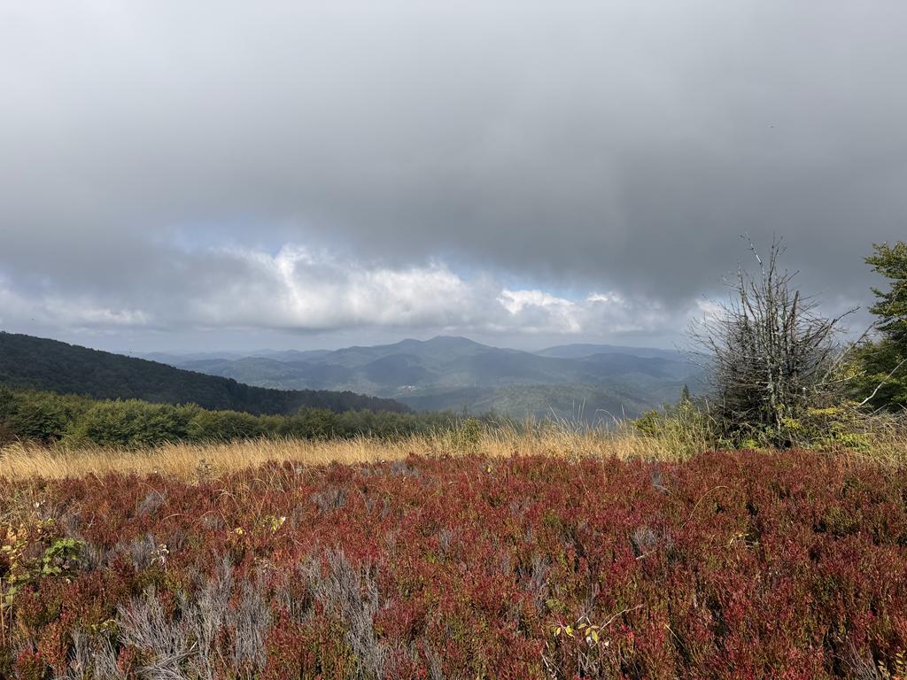 bieszczady23