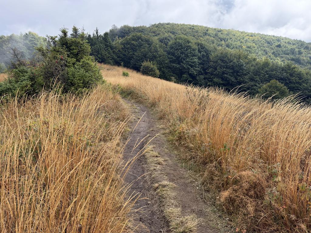 bieszczady25