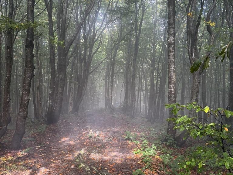 bieszczady27